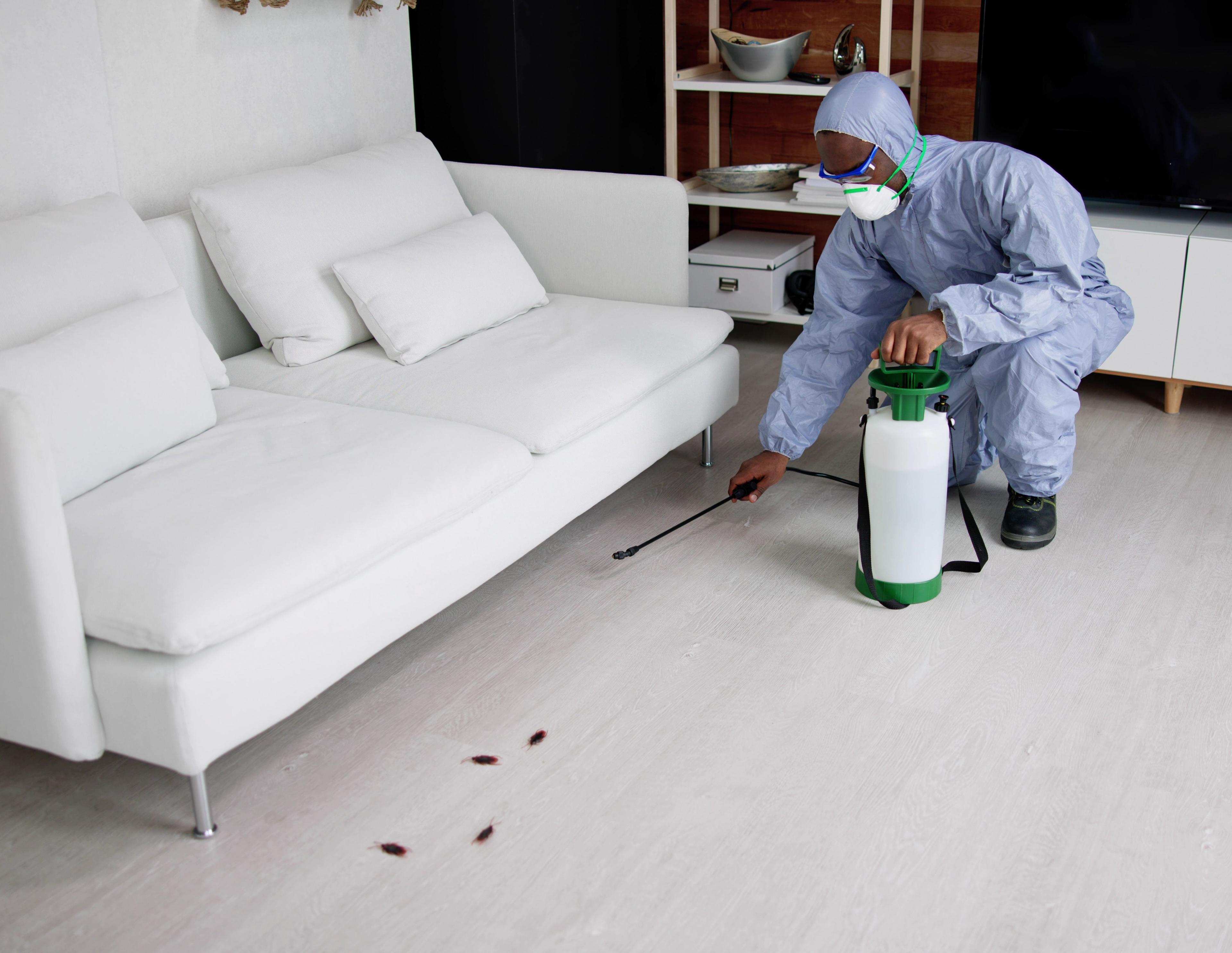 Beautiful Chicago home